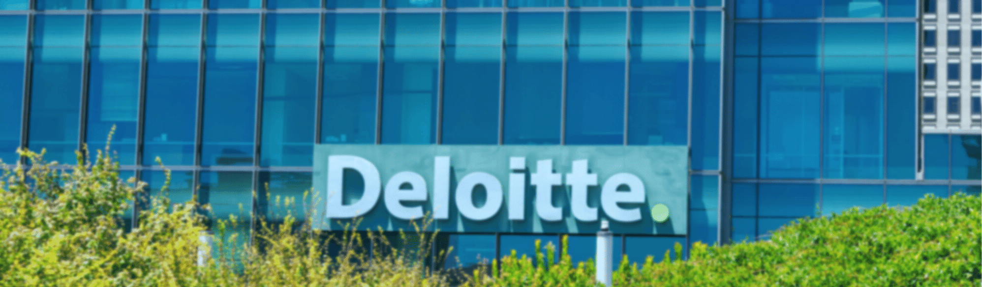 Deloitte Quote